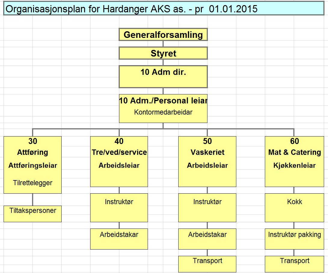 4.3 Datagrunnlag 4.3.1 Tilbod om tiltaksplassar i selskapet Organisering Styret i Hardanger AKS består av fem styremedlemmar valt av eigarane og ein tilsettrepresentant.