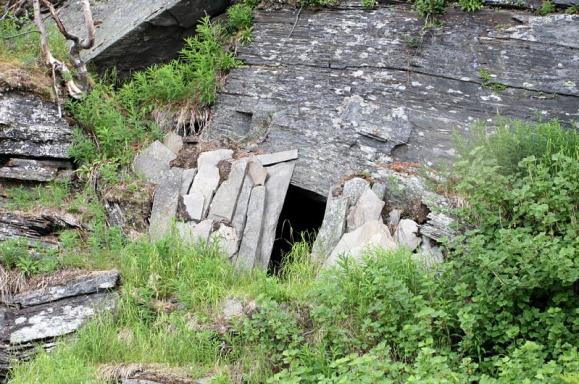 oppdragene er relatert til registrering av fjellrev og jerv. Junkerdal: Fjelltjenesten har i forbindelse med 38 feltoppdrag besøkt nasjonalparken. Dette utgjorde totalt 235 oppsynstimer.