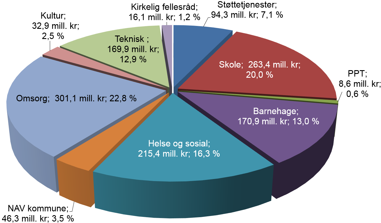 Avdelingsregnskap Tabell 5.