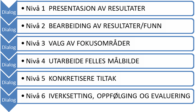 Hele veien er prosessen basert på dialog mellom medarbeiderne og hvor leder er prosessleder.