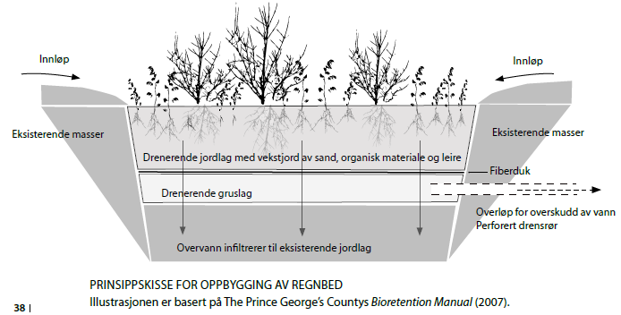 Regnbed Et regnbed (også kalt Raingarden el.