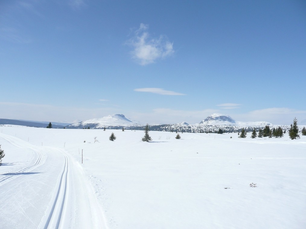 Løypekjøring Erfaringer fra siste sesong med Melladn Turløyper (MT) Løypene kjøres med maskin så tidlig som mulig Årsmøte 29. august 2009: Få fremmøtte. Mange styremedlemmer ønsker avløsning.