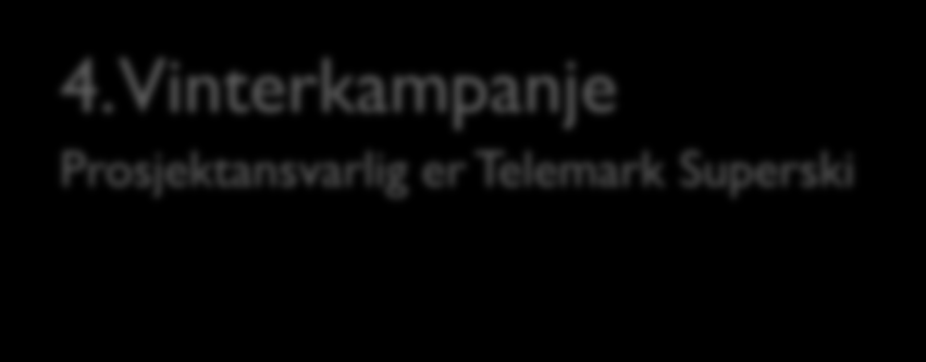 Felles profilering Nettsider: visittelemark.