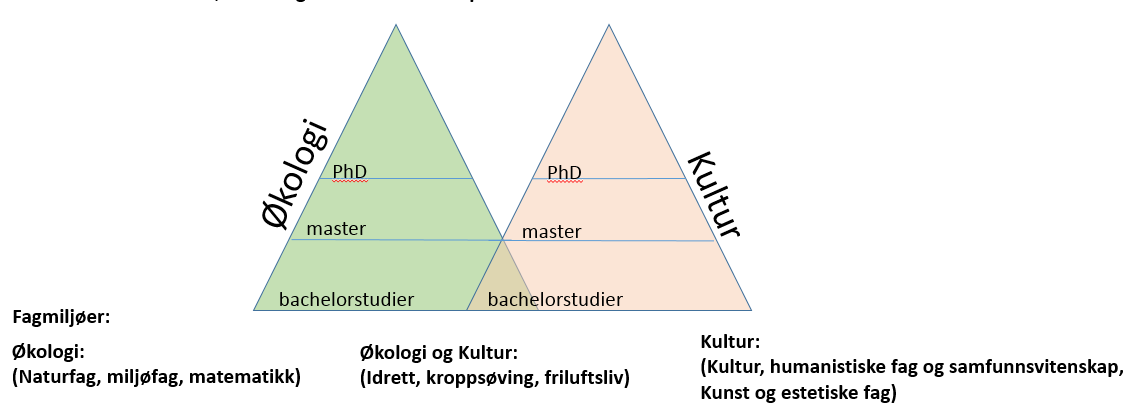 Fakultet for utdanningsvitenskap Fakultet for teknologi og maritime fag Fakultet for tvervitenskapelige natur- og kulturstudier Fakultet for helse og sosialvitenskap Fakultet for økonomi, ledelse og