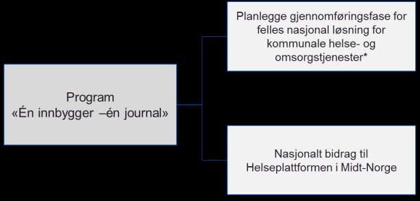 Det nasjonale programmet skal planlegge realisering av det anbefalte startpunktet i kommunesektoren (2/2) Foreløpig styringsramme Leveranser Beskrivelse Arbeidet legger foreløpig til grunn en