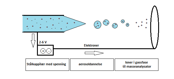 Innledning 1.6.1 Ionekilder I ionekilden vil molekylene i prøven få ladning. Elektrosprayionisasjon (ESI), er en mye brukt ioniseringsteknikk som er godt egnet til polare forbindelser[25, 27].