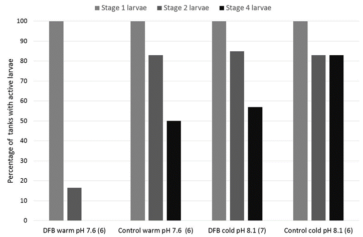 Stage 1 Stage 2 Stage 4 Shaw Bamber, IRIS Stadium 2 rekelarver som hadde vært utsatt for fôrmedisin var mindre aktive enn kontrollene i «år 2100 klima» Percent tanks with