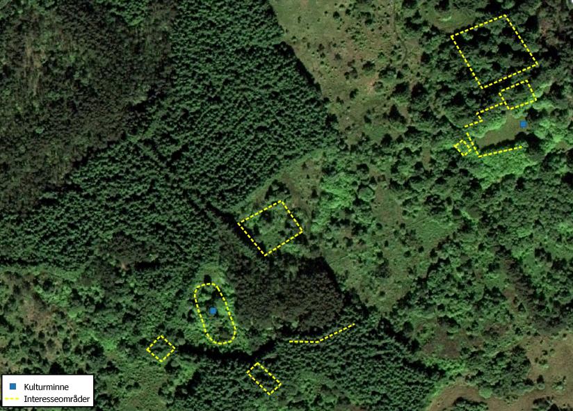 det i området nylig har veltet et stort grantre, synlig på dronebildet. Under grantreet fortsatte en av steingardene. Grantreet har med andre ord brukt lang tid på å vokse over steingarden.