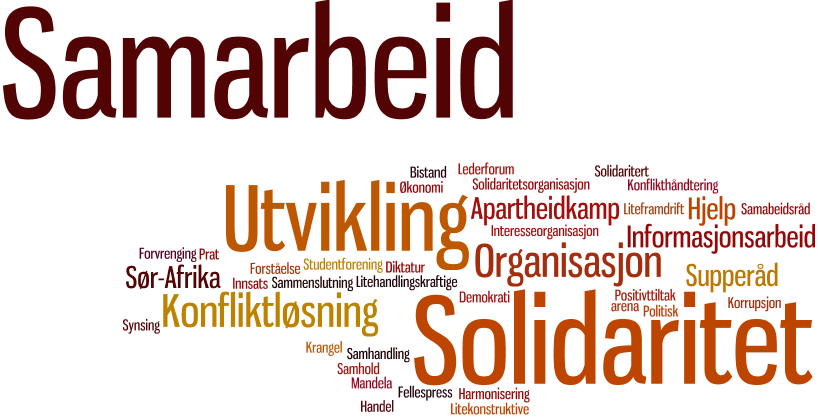 Fellesrådet for Afrika knyttes oftest til «samarbeid», «solidaritet» og «utvikling» 20.