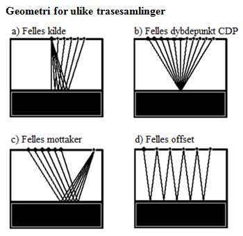Figur 3-6: Hoveddelene i en streamer. Modifisert etter Sheriff and Geldart (1995). 3.2 Seismisk prosessering: Editering: Editering vil si å fjerne døde traser eller traser som inneholder for mye støy.