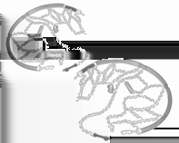 Minste tillatte mønsterdybde (1,6 mm) er nådd når slitebanen er slitt ned til en slitasjeindikator (TWI = Tread Wear Indicator). Plasseringen er angitt av merker i dekksiden.