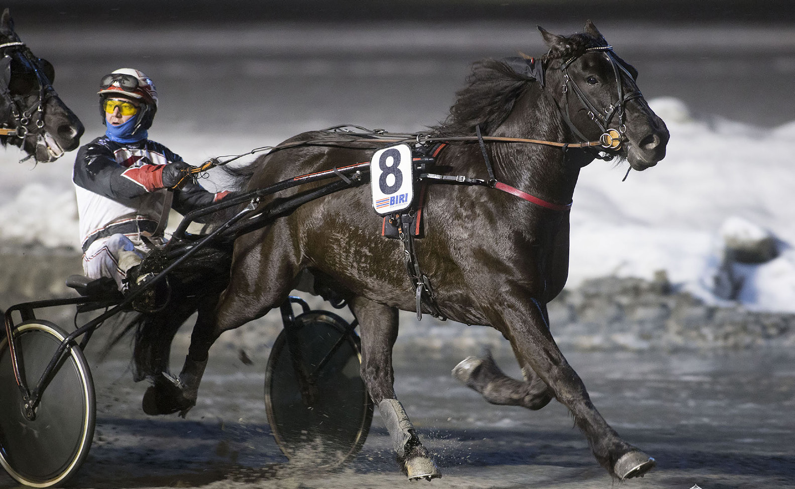 Nr /05 Grude alder blir vår favoritt i V5-/DD-