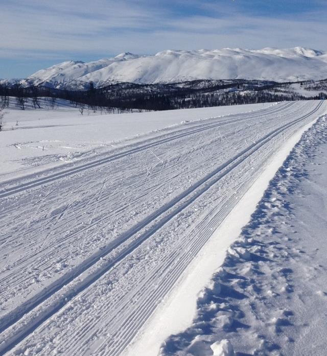 Tur/skiløype