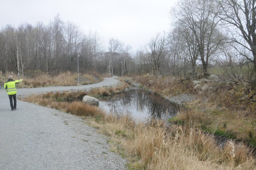 Konstruerte anlegg og natur-arealer kan og