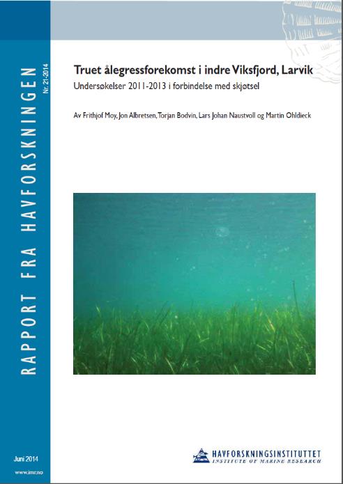 Figur 9: Illustrasjonen viser prosjektets primærområde, at dette også vil innvirke i deler av naturreservatet og ålegressengenes plassering. 2.1.