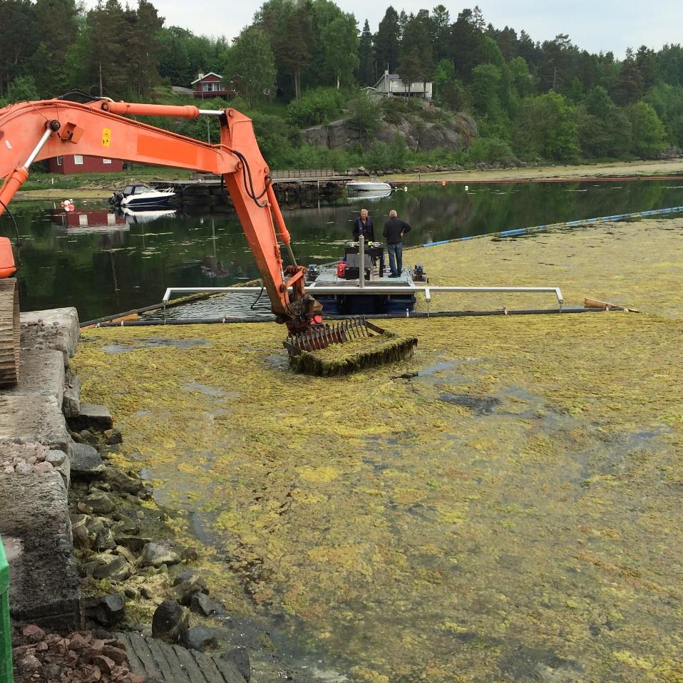 Sunn Indre Viksfjord ingen flytende algematter! 3.1.