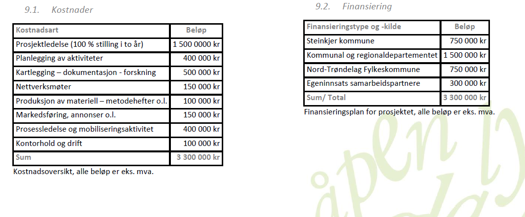 Kapittel 4 økonomi budsjett Kontantflyt (det som ikke er