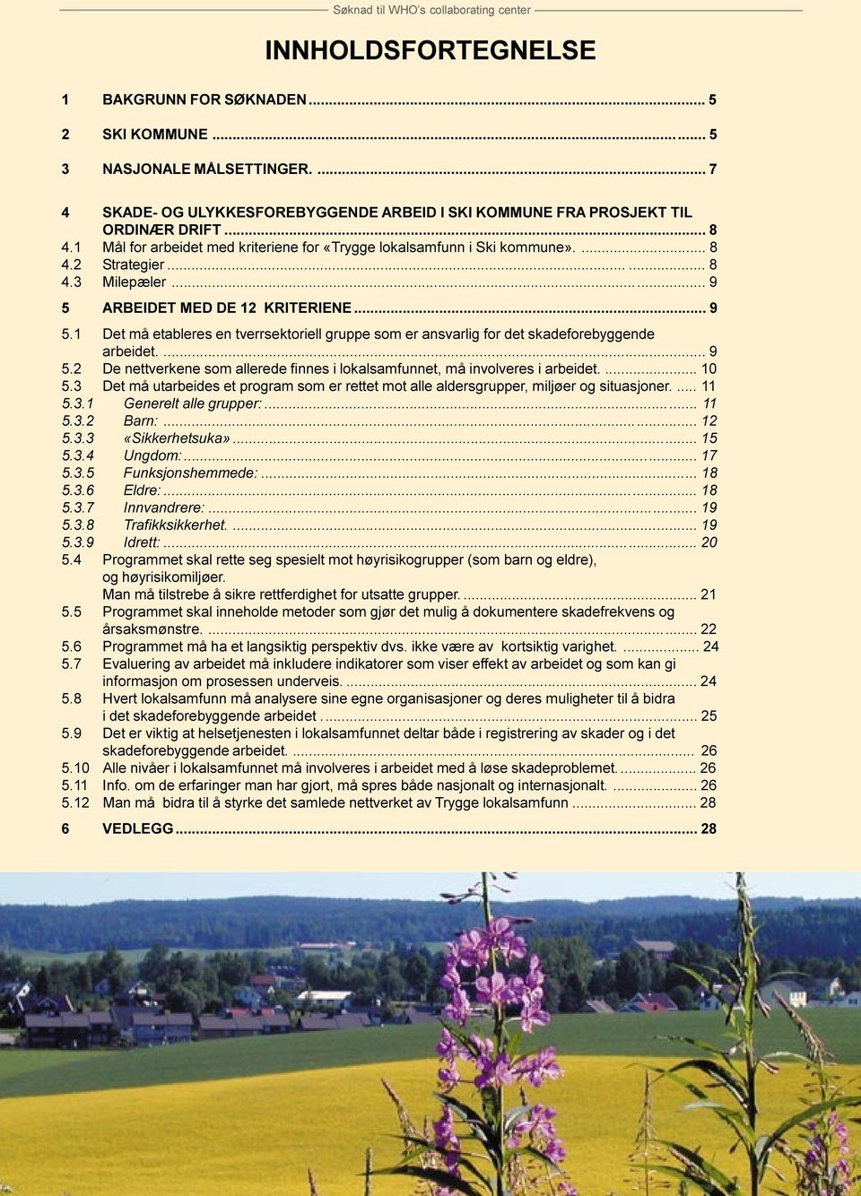 ARBEIDET MED DE 12 KRITERIENE... 9 5.1 Det må etableres en tverrsektoriell gruppe som er ansvarlig for det skadeforebyggende arbeidet.... 9 5.2 De nettverkene som allerede finnes i lokalsamfunnet, må involveres i arbeidet.