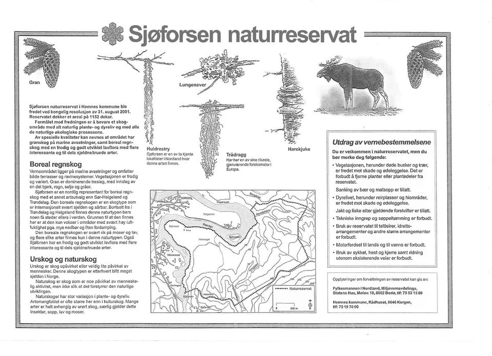 Av spesielle kvl eer kn nevnes område hr grnskog på mrine vseninge sm borel regnskog med en frodig og god uvikle lvflor med flere ineressne og l dels sjeldne/ruede rer.