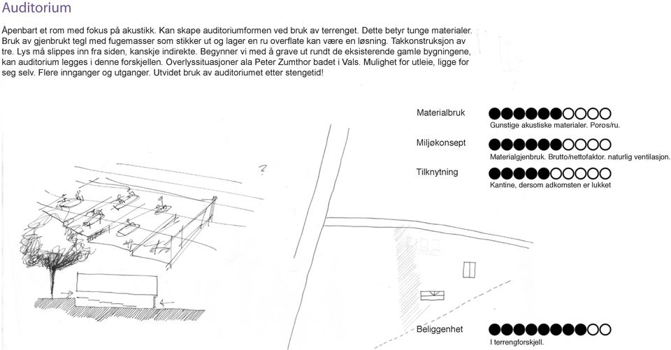 Begynner vi med å grave ut rundt de eksisterende gamle bygningene, kan auditorium legges i denne forskjellen. Overlyssituasjoner ala Peter Zumthor badet i Vals.