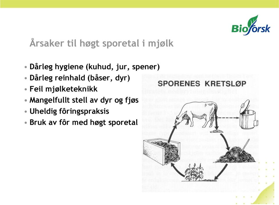 Feil mjølketeknikk Mangelfullt stell av dyr og