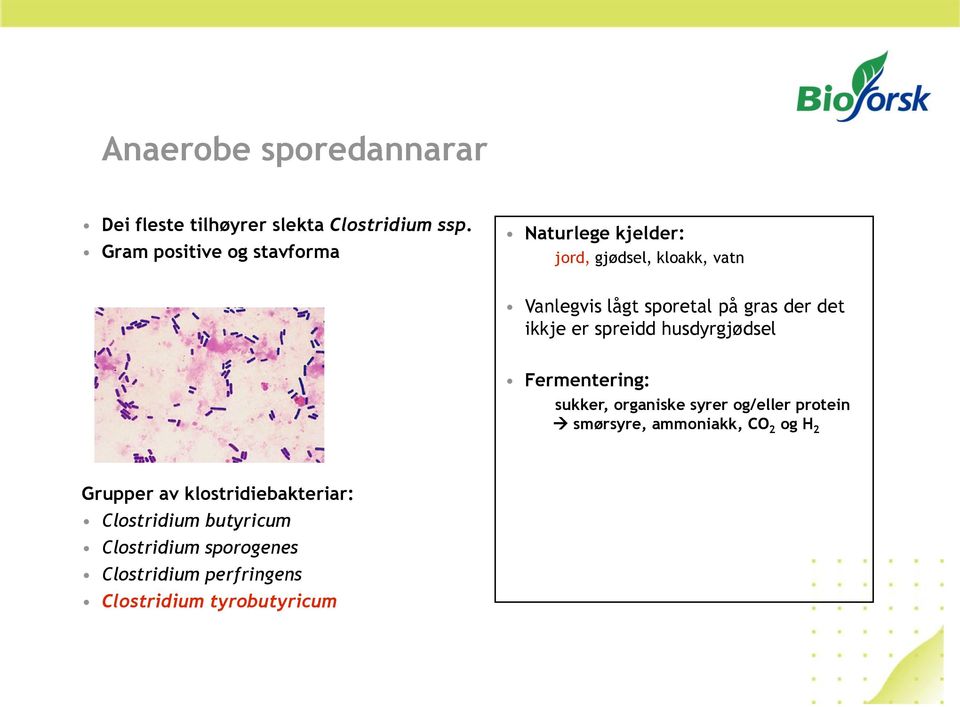 der det ikkje er spreidd husdyrgjødsel Fermentering: sukker, organiske syrer og/eller protein smørsyre,