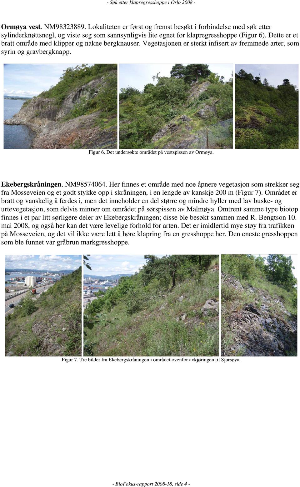 Ekebergskråningen. NM98574064. Her finnes et område med noe åpnere vegetasjon som strekker seg fra Mosseveien og et godt stykke opp i skråningen, i en lengde av kanskje 200 m (Figur 7).