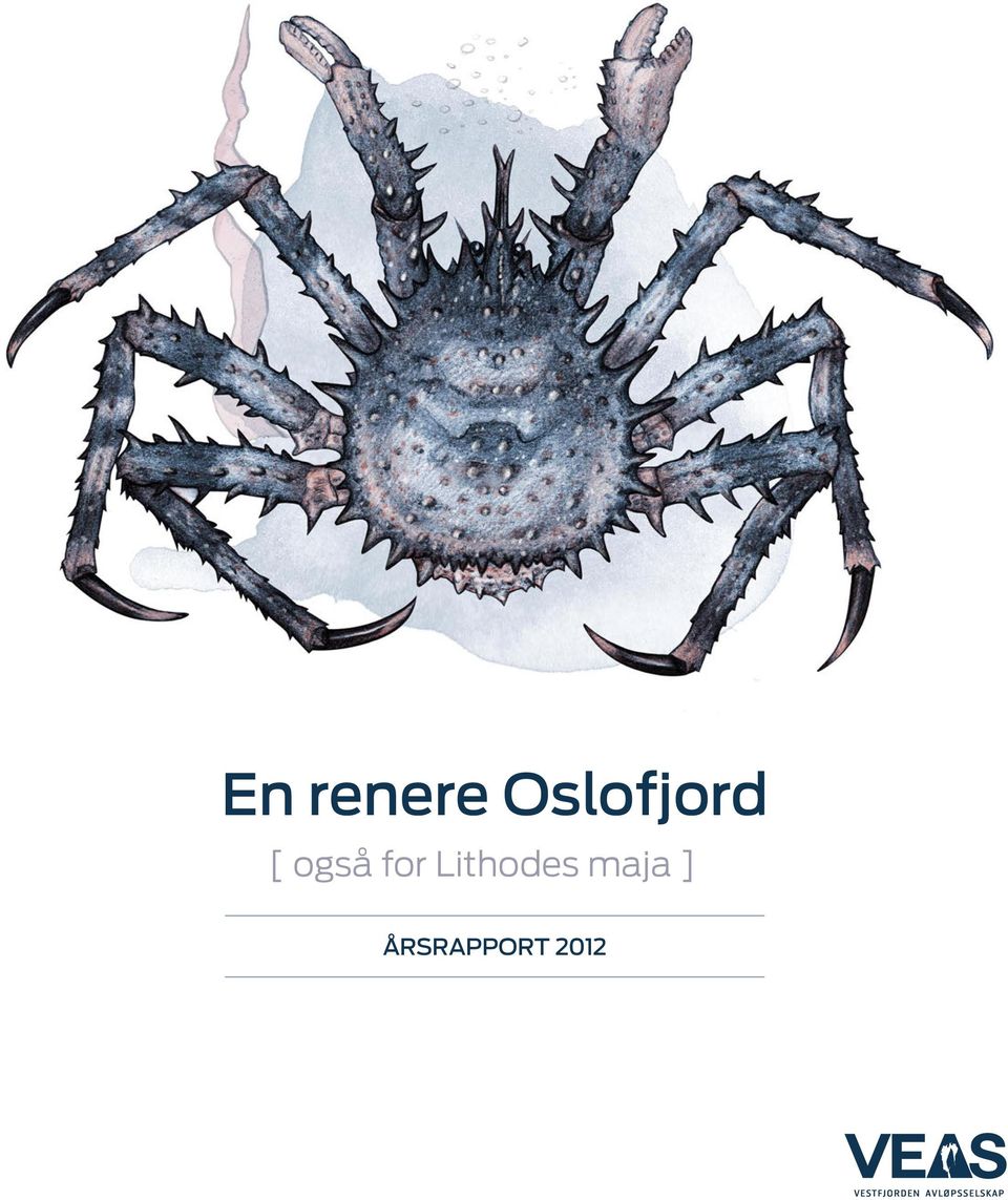 for Lithodes