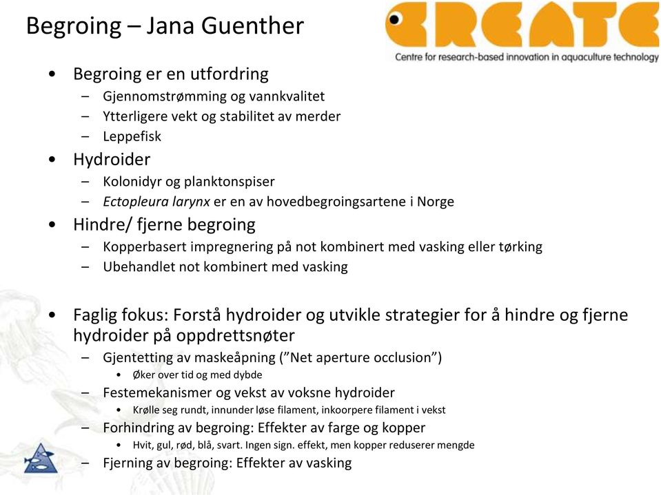 utvikle strategier for å hindre og fjerne hydroider på oppdrettsnøter Gjentetting av maskeåpning ( Net aperture occlusion ) Øker over tid og med dybde Festemekanismer og vekst av voksne hydroider