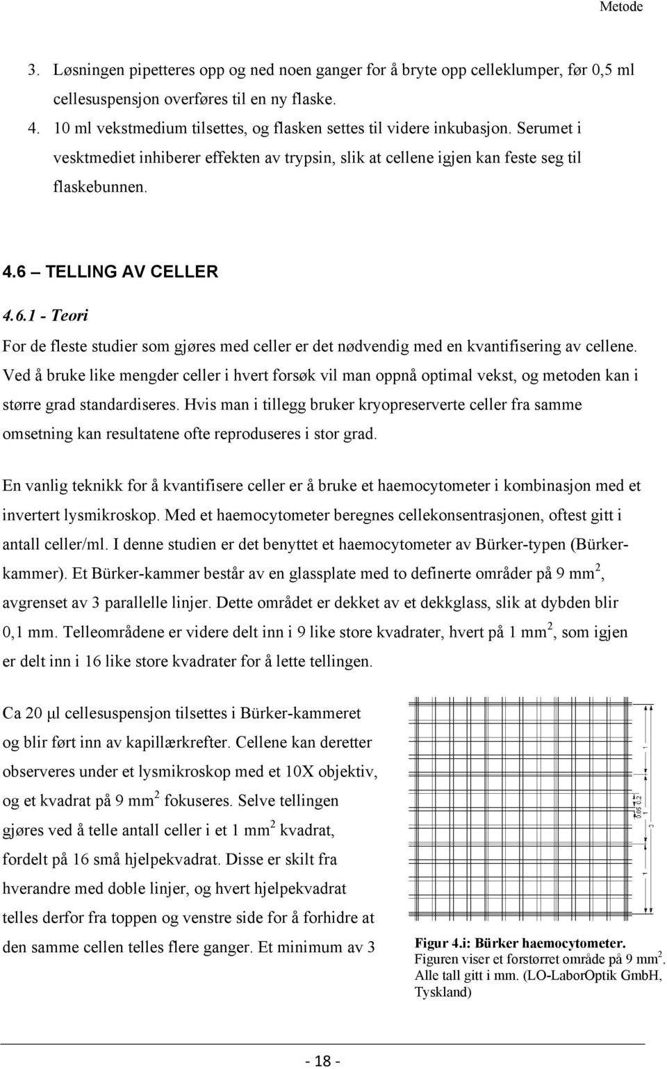 6 TELLING AV CELLER 4.6.1 - Teori For de fleste studier som gjøres med celler er det nødvendig med en kvantifisering av cellene.