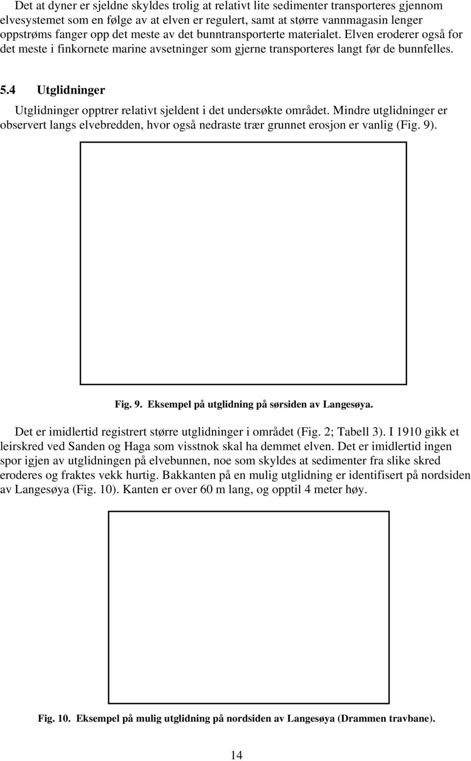 4 Utglidninger Utglidninger opptrer relativt sjeldent i det undersøkte området. Mindre utglidninger er observert langs elvebredden, hvor også nedraste trær grunnet erosjon er vanlig (Fig. 9)