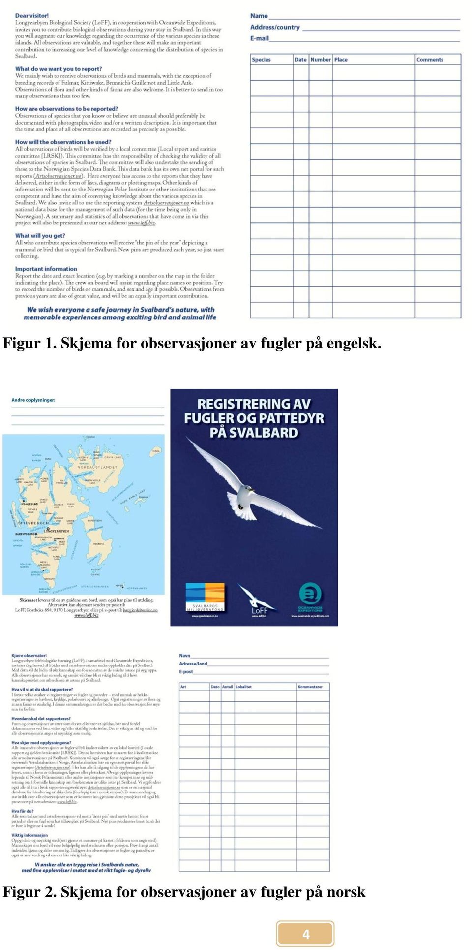 fugler på engelsk. Figur 2.