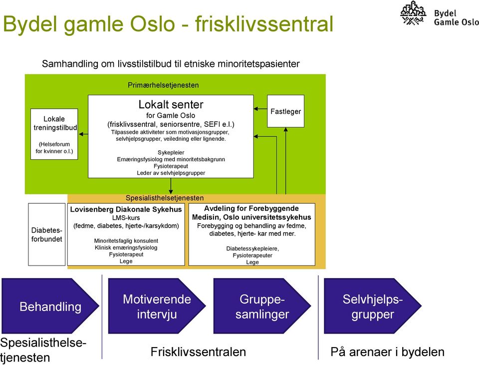 Sykepleier Ern æ ringsfysiolog med minoritetsbakgrunn Fysioterapeut Leder av selvhjelpsgrupper Fastleger Diabetes - forbundet Spesialisthelsetjenesten Lovisenberg Diakonale Sykehus LMS - kurs (fedme,