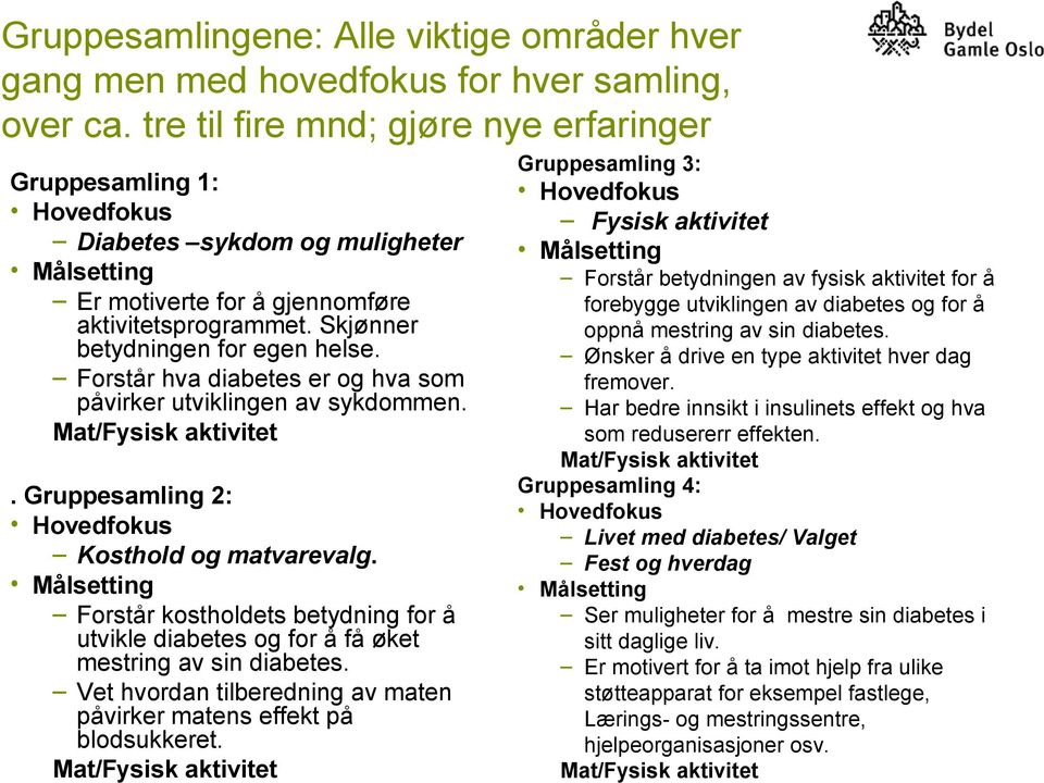 Forstår hva diabetes er og hva som påvirker utviklingen av sykdommen. Mat/Fysisk aktivitet. Gruppesamling 2: Hovedfokus Kosthold og matvarevalg.