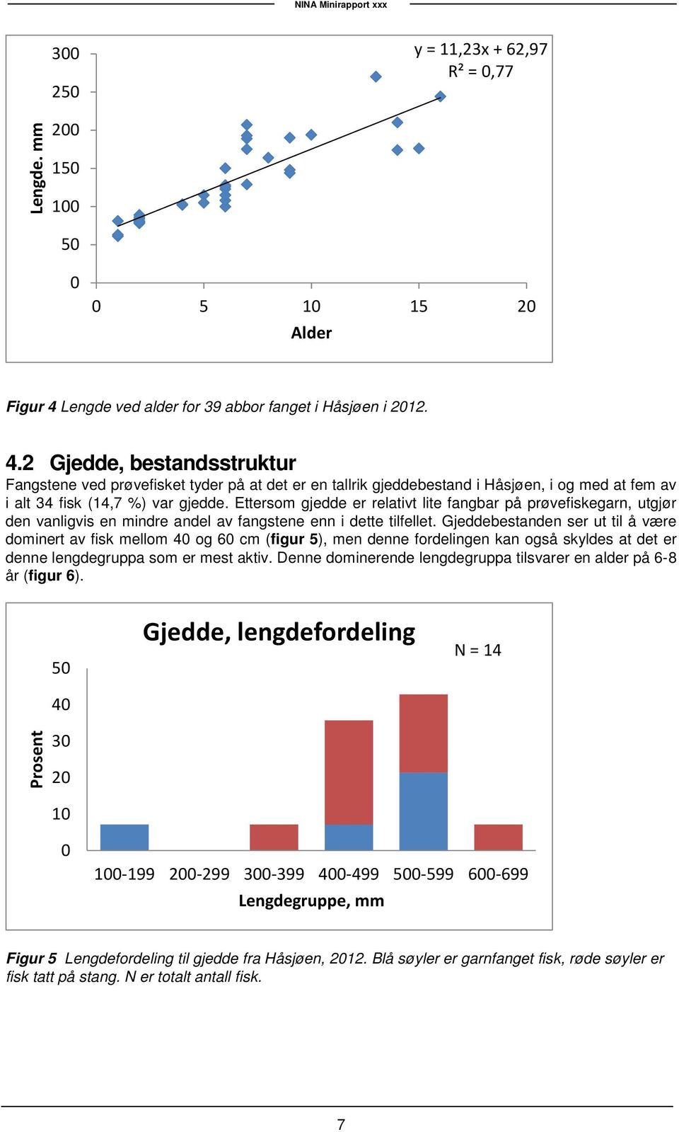 2 Gjedde, bestandsstruktur Fangstene ved prøvefisket tyder på at det er en tallrik gjeddebestand i Håsjøen, i og med at fem av i alt 34 fisk (14,7 %) var gjedde.