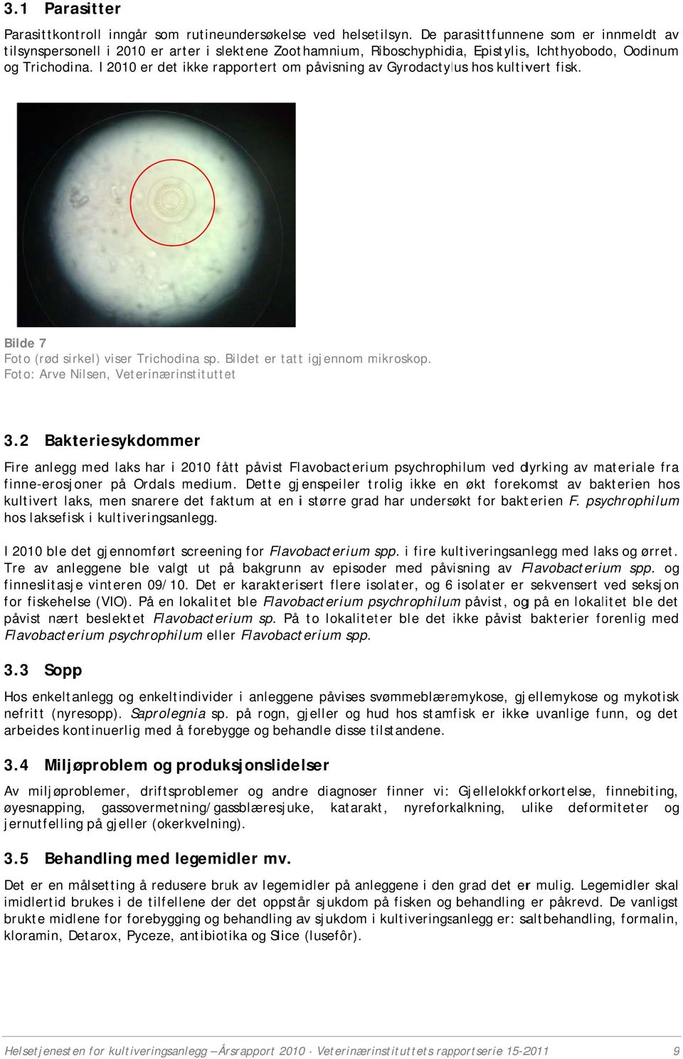 I 2010 er det ikke rapportert om påvisning av Gyrodactylus hos kultivert fisk. Bilde 7 Foto (rød sirkel) viser Trichodina sp. Bildet er tattt igjennom mikroskop.