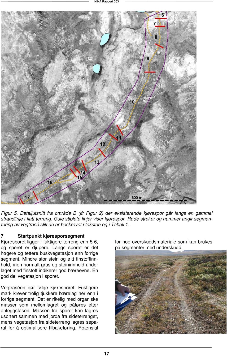 Langs sporet er det høgere og tettere buskvegetasjon enn forrige segment. Mindre stor stein og økt finstoffinnhold, men normalt grus og steininnhold under laget med finstoff indikerer god bæreevne.