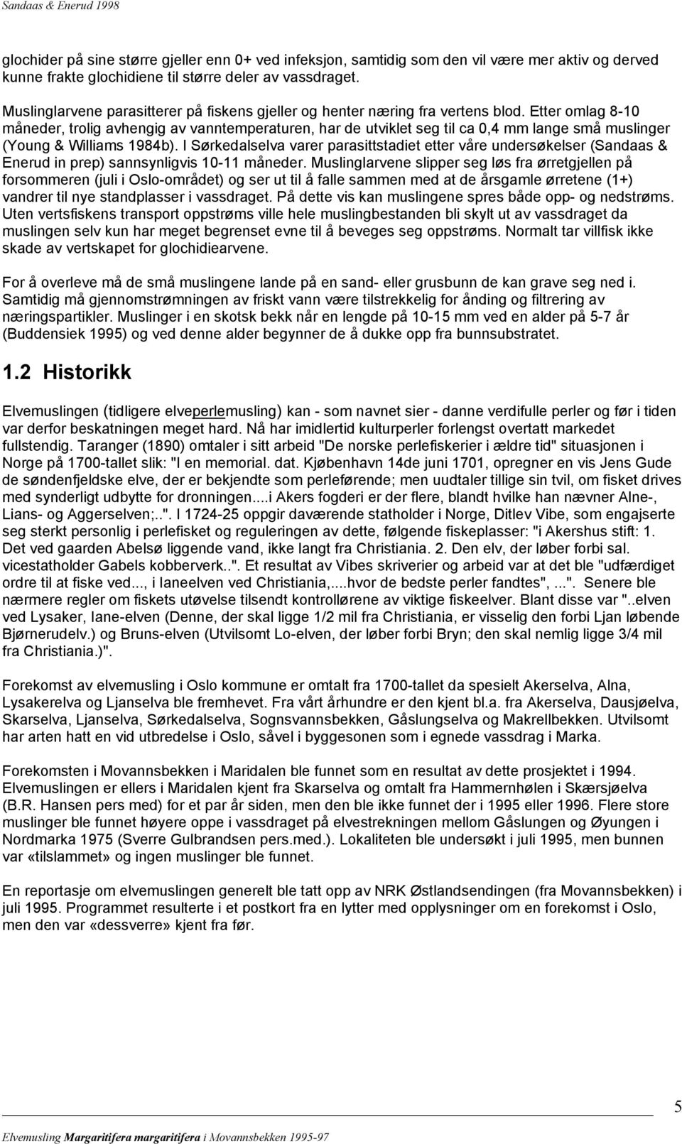 Etter omlag 8-10 måneder, trolig avhengig av vanntemperaturen, har de utviklet seg til ca 0,4 mm lange små muslinger (Young & Williams 1984b).