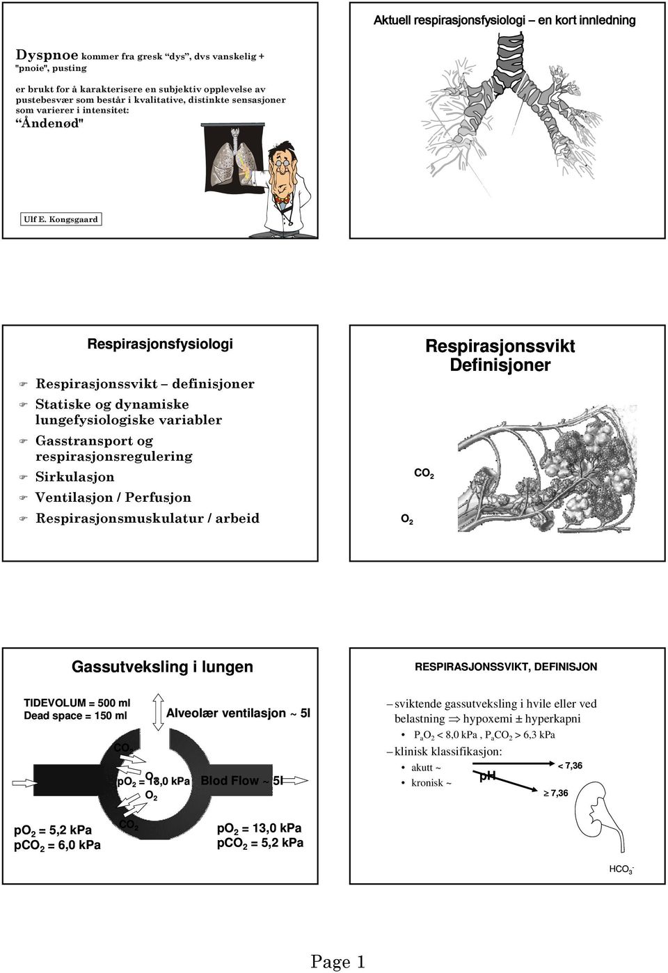 Kongsgaard Respirasjonsfysiologi Respirasjonssvikt definisjoner Statiske og dynamiske lungefysiologiske variabler Gasstransport og respirasjonsregulering Sirkulasjon Ventilasjon / Perfusjon