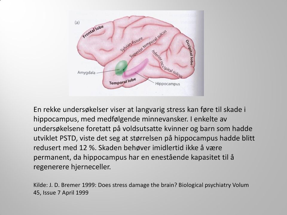 hippocampus hadde blitt redusert med 12 %.