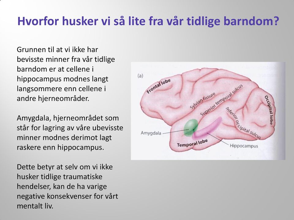 langsommere enn cellene i andre hjerneområder.