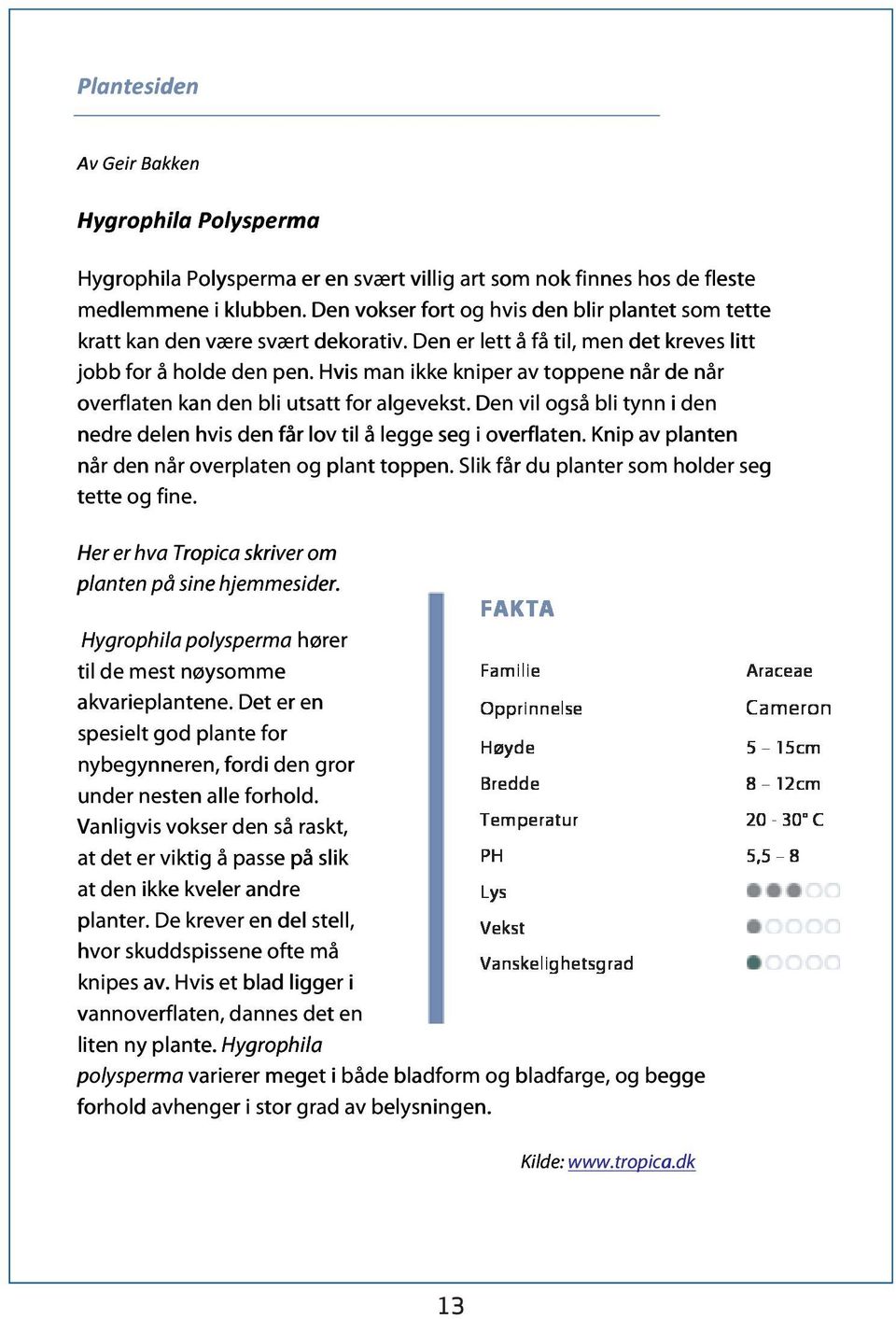 Den vil også bli tynn i den nedre delen hvis den får lov til å legge seg i overflaten. Knip av planten når den når overplaten og plant toppen. Slik får du planter som holder seg tette og fine.