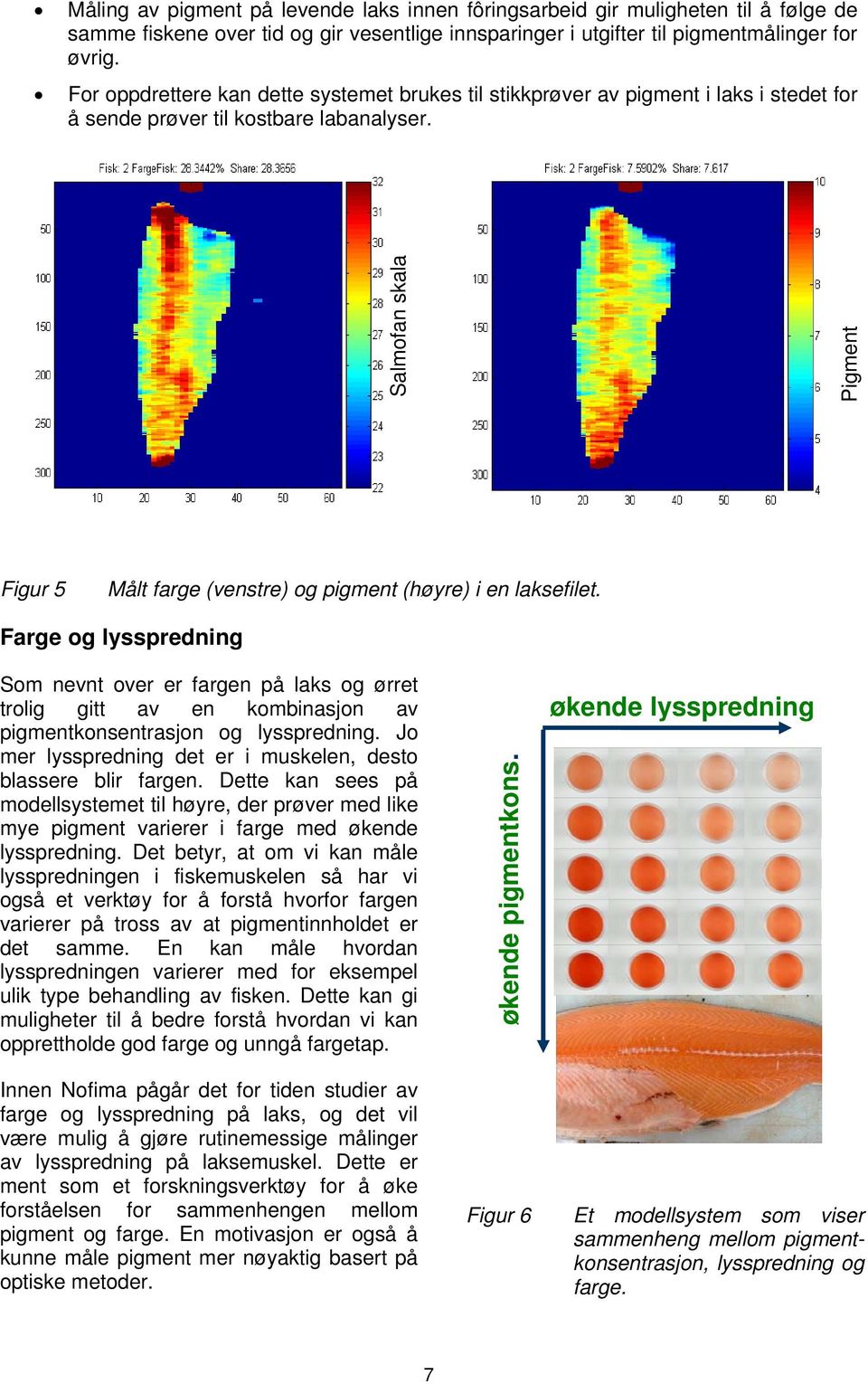 Salmofan skala Pigment Figur 5 Målt farge (venstre) og pigment (høyre) i en laksefilet.