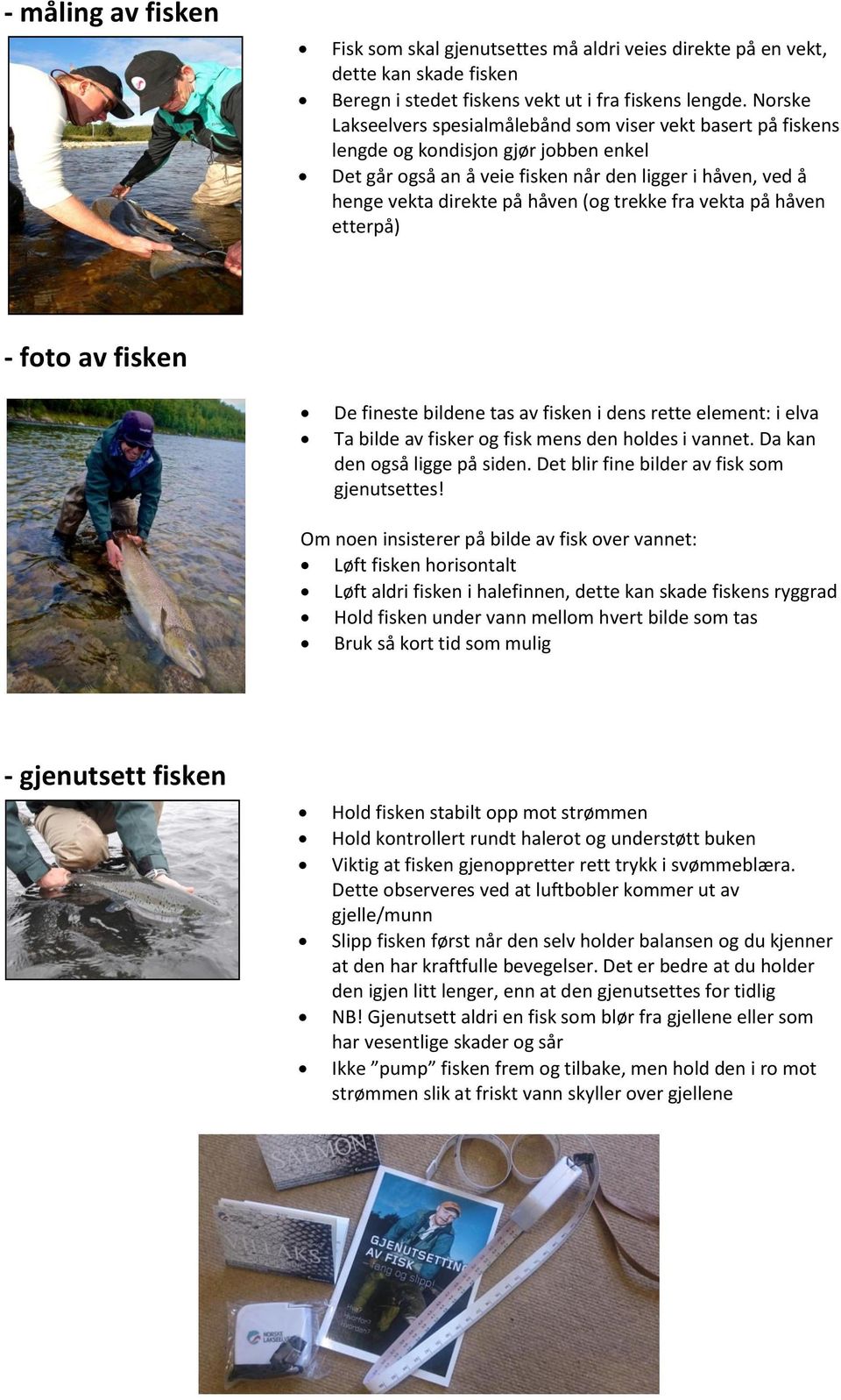 trekke fra vekta på håven etterpå) - foto av fisken De fineste bildene tas av fisken i dens rette element: i elva Ta bilde av fisker og fisk mens den holdes i vannet. Da kan den også ligge på siden.