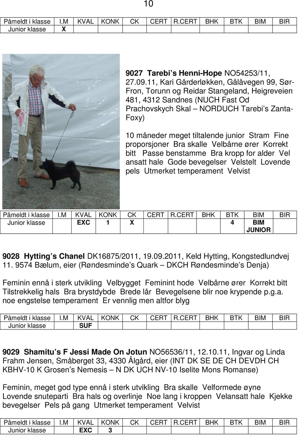 junior Stram Fine proporsjoner Bra skalle Velbårne ører Korrekt bitt Passe benstamme Bra kropp for alder Vel ansatt hale Gode bevegelser Velstelt Lovende pels Utmerket temperament Velvist Junior