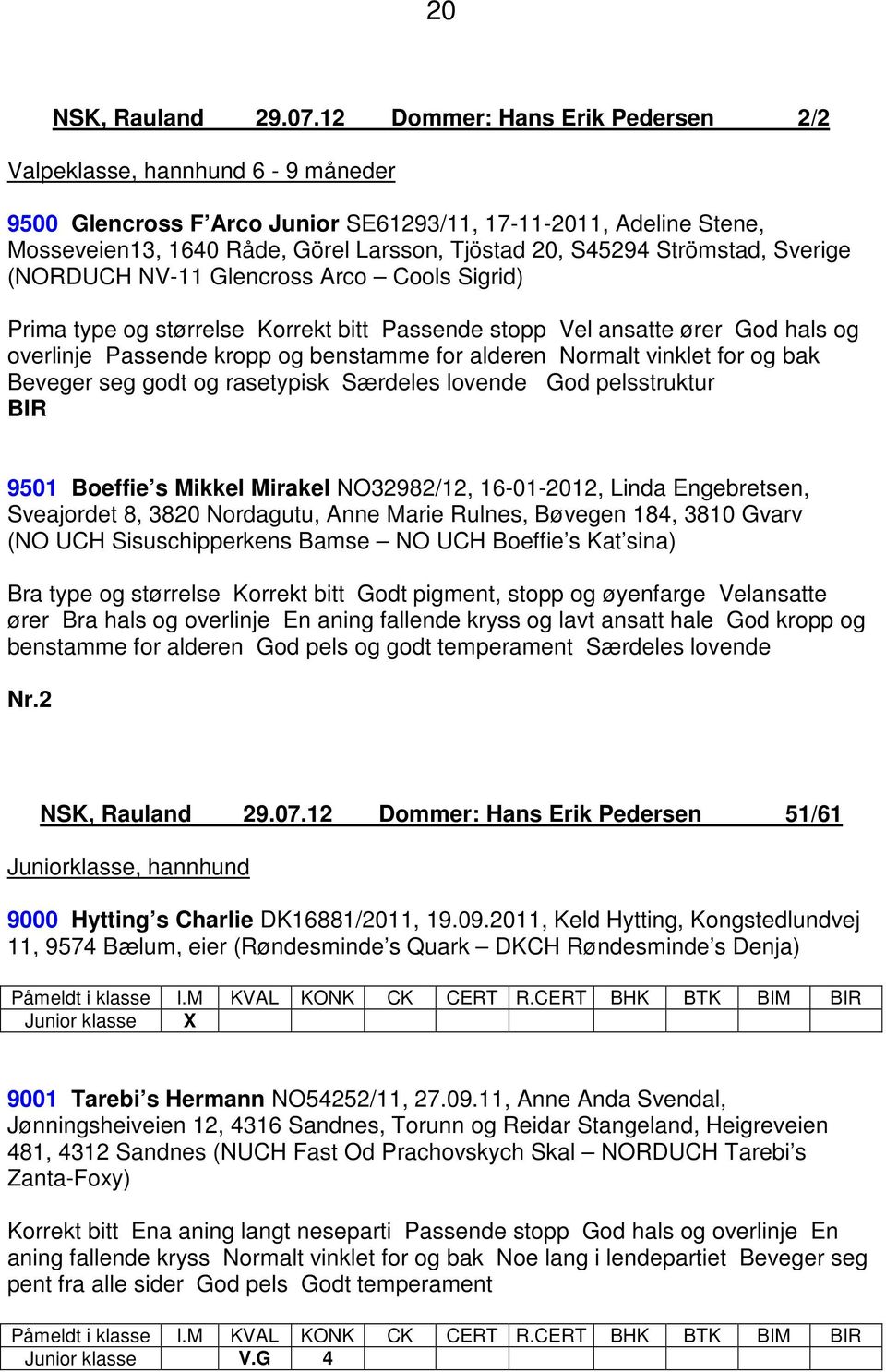 Strömstad, Sverige (NORDUCH NV-11 Glencross Arco Cools Sigrid) Prima type og størrelse Korrekt bitt Passende stopp Vel ansatte ører God hals og overlinje Passende kropp og benstamme for alderen