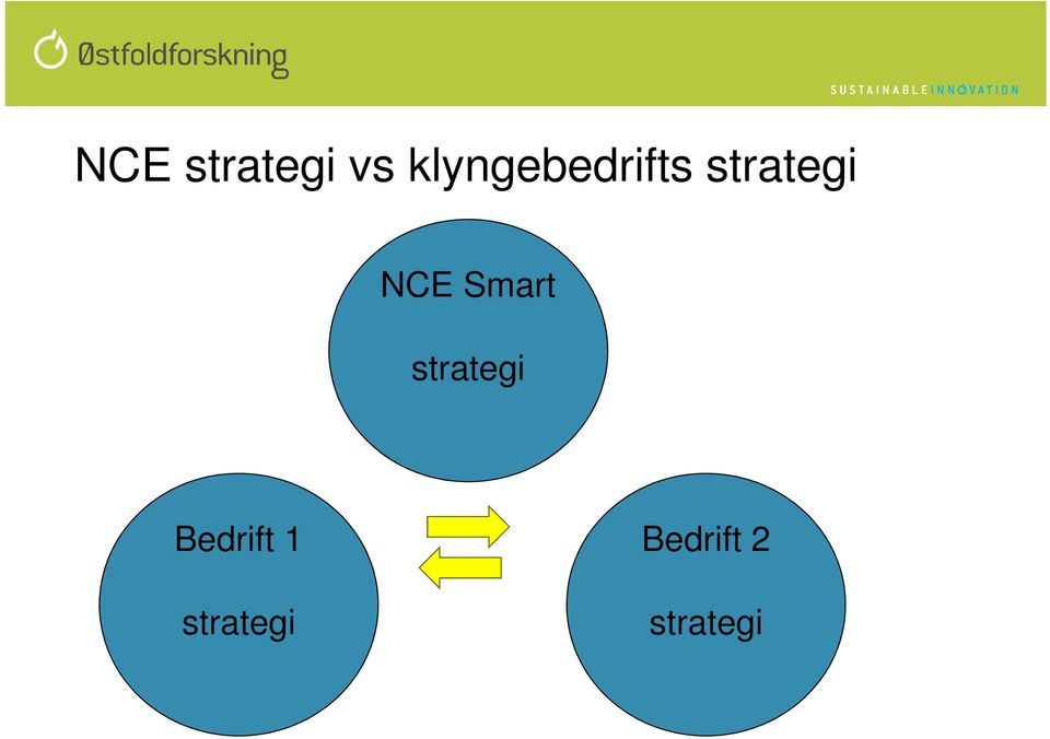 NCE Smart strategi