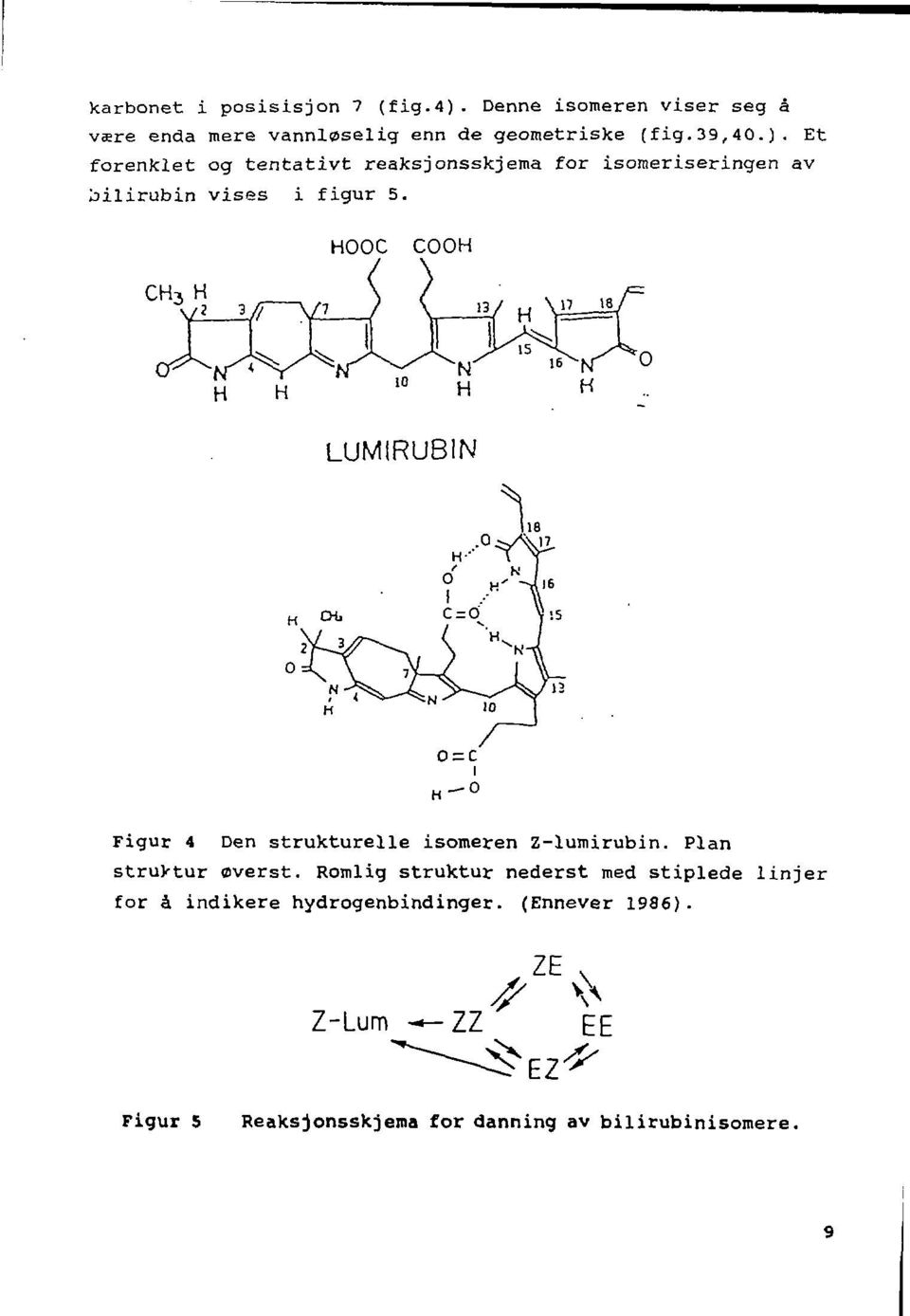Et forenklet og tentativt reaksjonsskjema for isomeriseringen av bilirubin vises i figur 5.