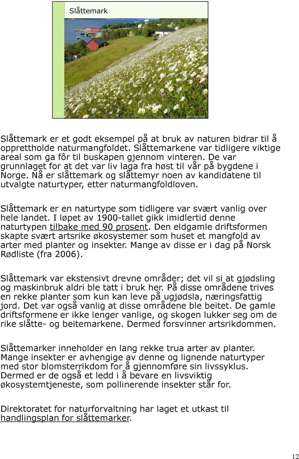 Slåttemark er en naturtype som tidligere var svært vanlig over hele landet. I løpet av 1900-tallet gikk imidlertid denne naturtypen tilbake med 90 prosent.