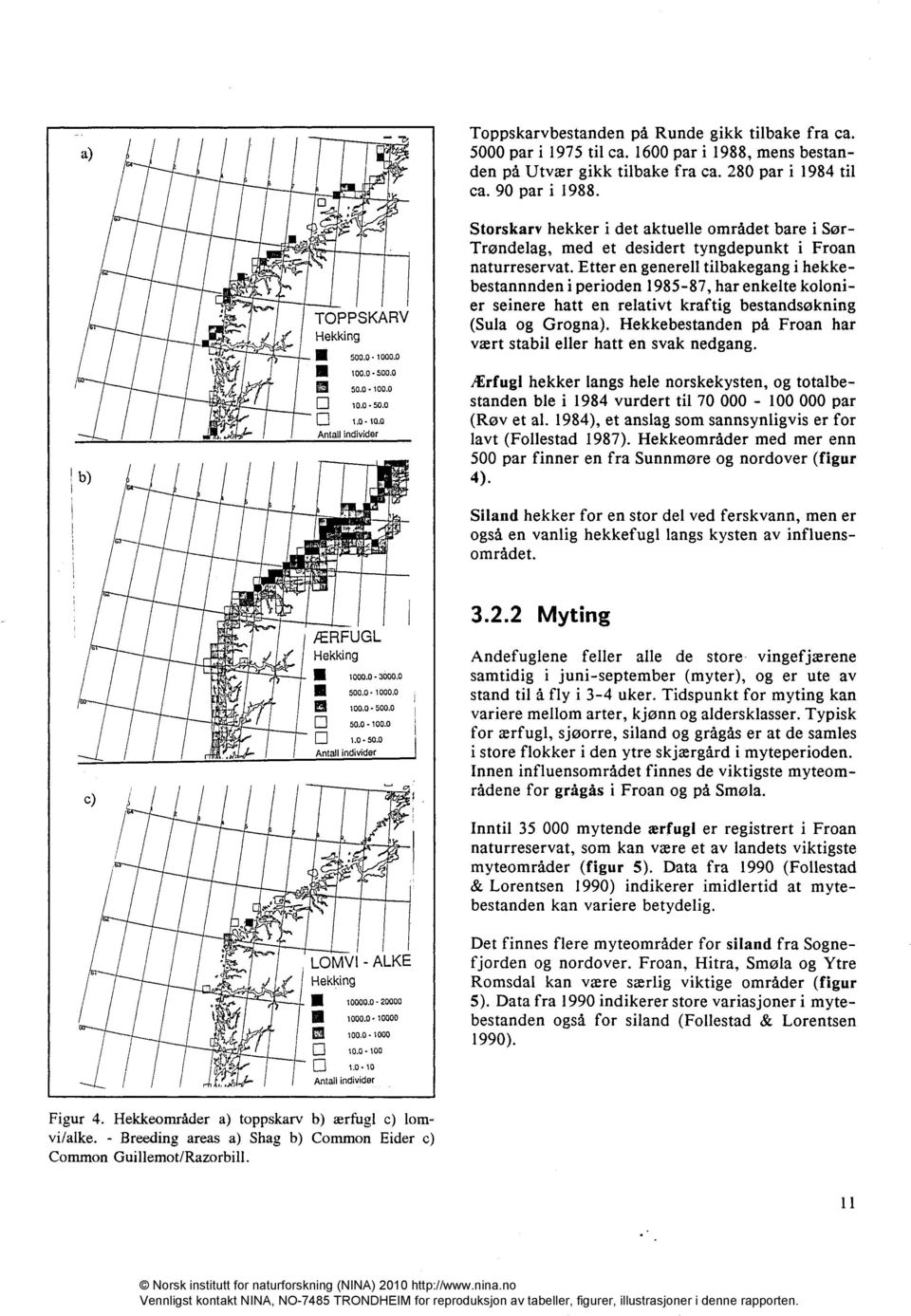 Etter en generell tilbakegang i hekkebestannnden i perioden 1985-87, har enkelte kolonier seinere hatt en relativt kraftig bestandsøkning (Sula og Grogna).